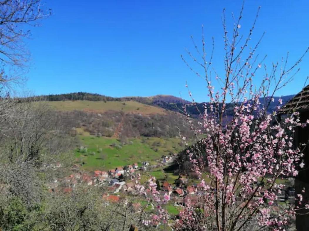 Les Locations De Stephanie Les Hautes Vosges Sondernach ภายนอก รูปภาพ