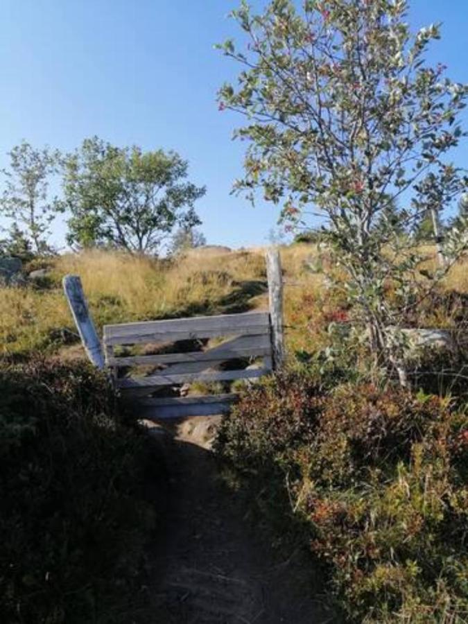 Les Locations De Stephanie Les Hautes Vosges Sondernach ภายนอก รูปภาพ