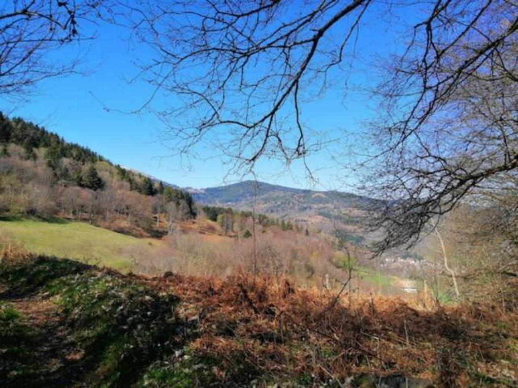 Les Locations De Stephanie Les Hautes Vosges Sondernach ภายนอก รูปภาพ